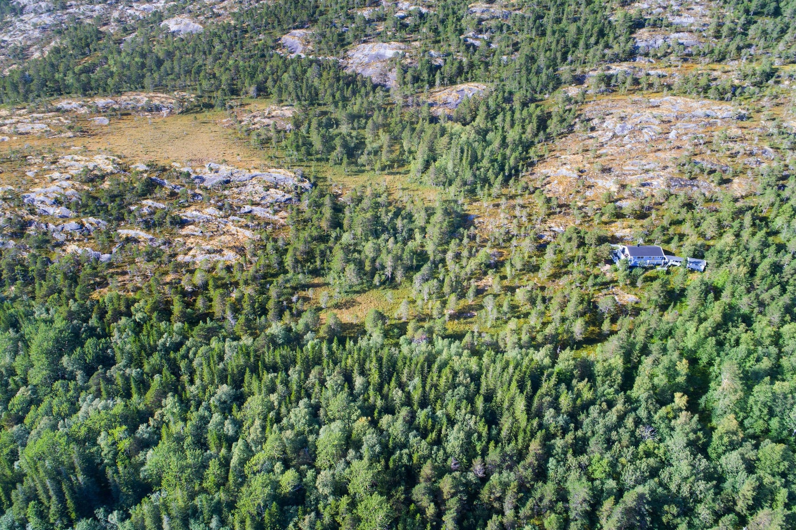 Utendørs 3 Galleribilde