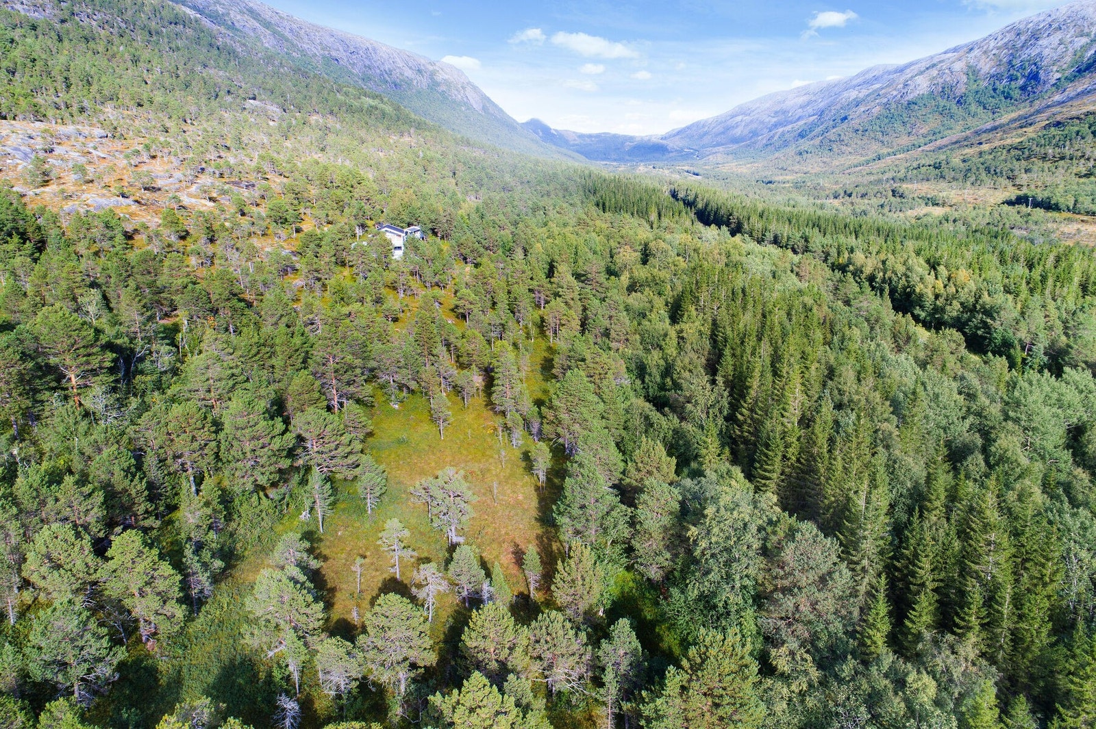 Utendørs 6 Galleribilde