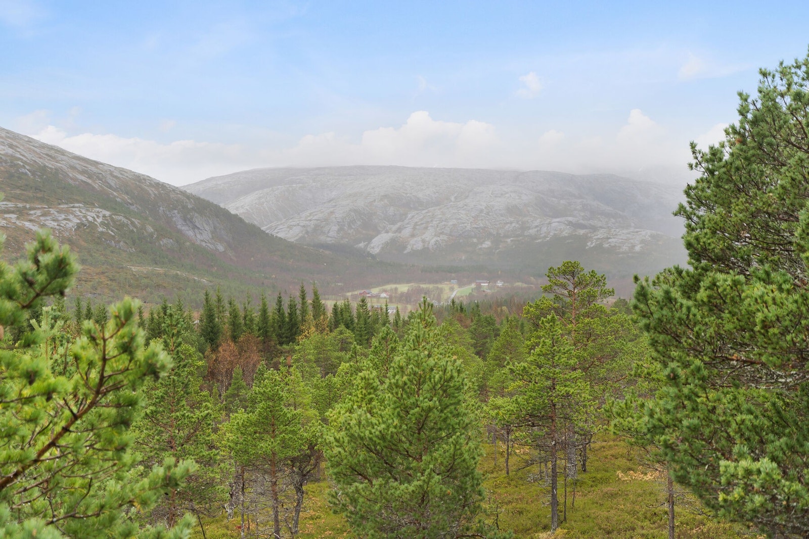 Utendørs 3 Galleribilde