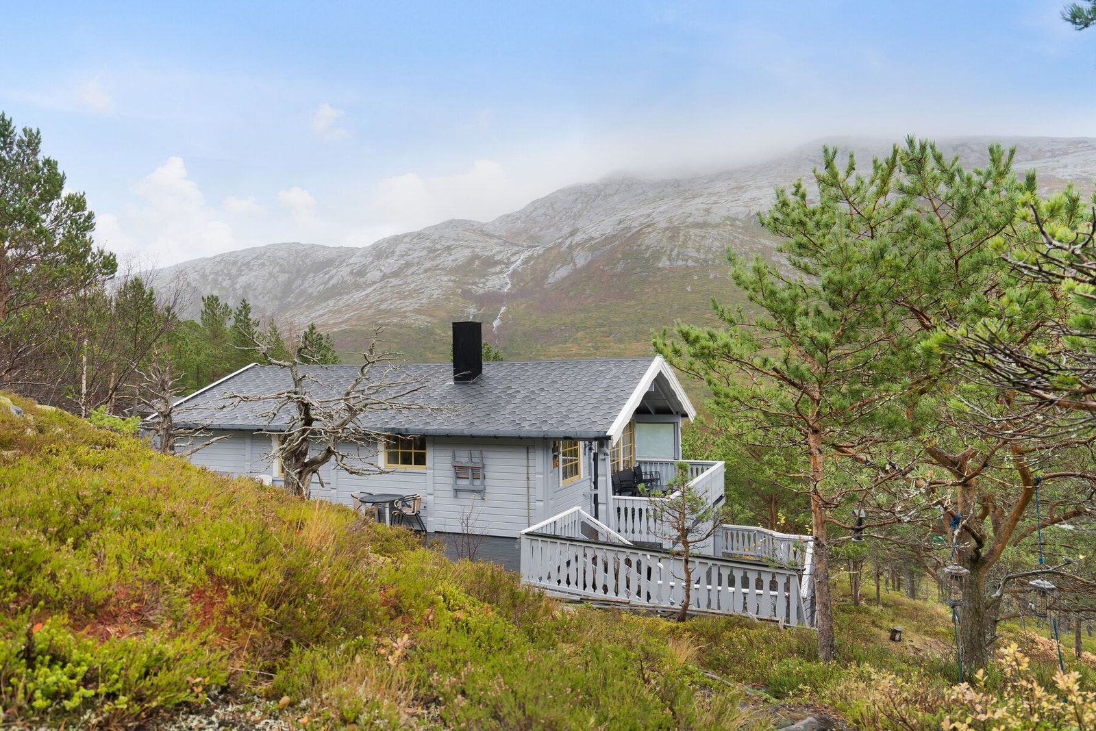 Utendørs 5 Galleribilde