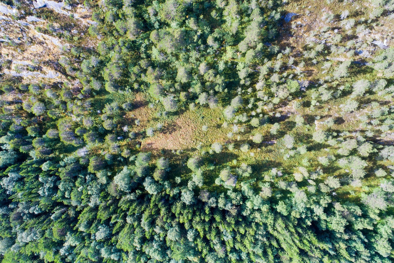 Utendørs 4 Galleribilde