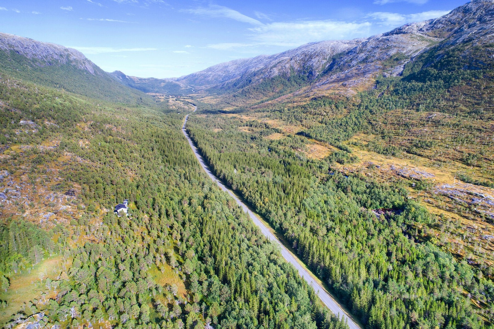 Utendørs 2 Galleribilde