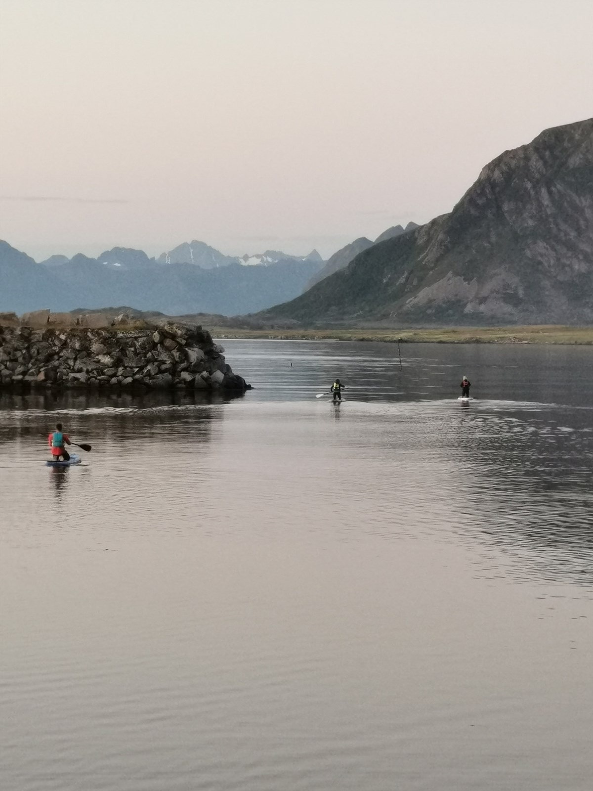 Padlebrett i Haverringen. Galleribilde