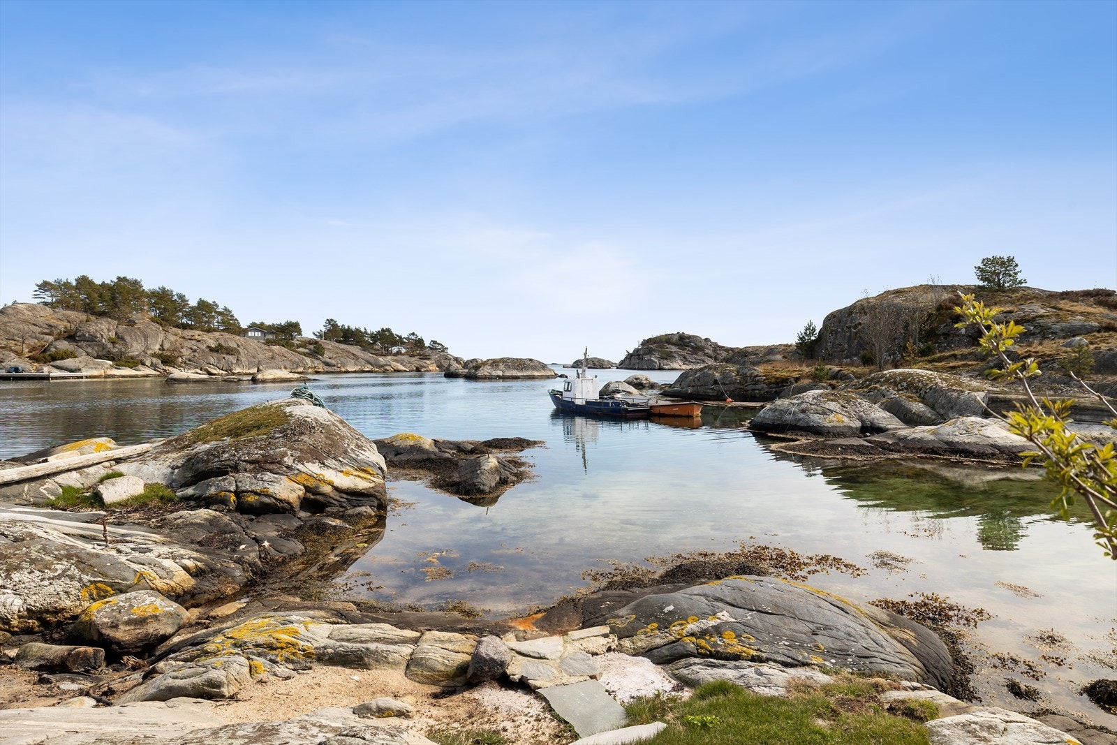 Kaninholmen med Håholmen i bakgrunnen Galleribilde