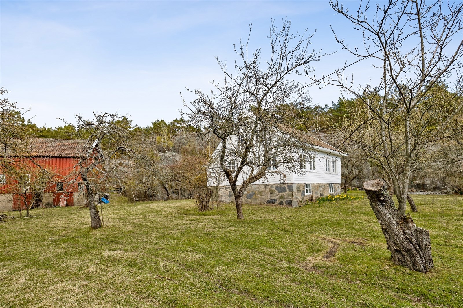 Hovedhuset og låven Galleribilde