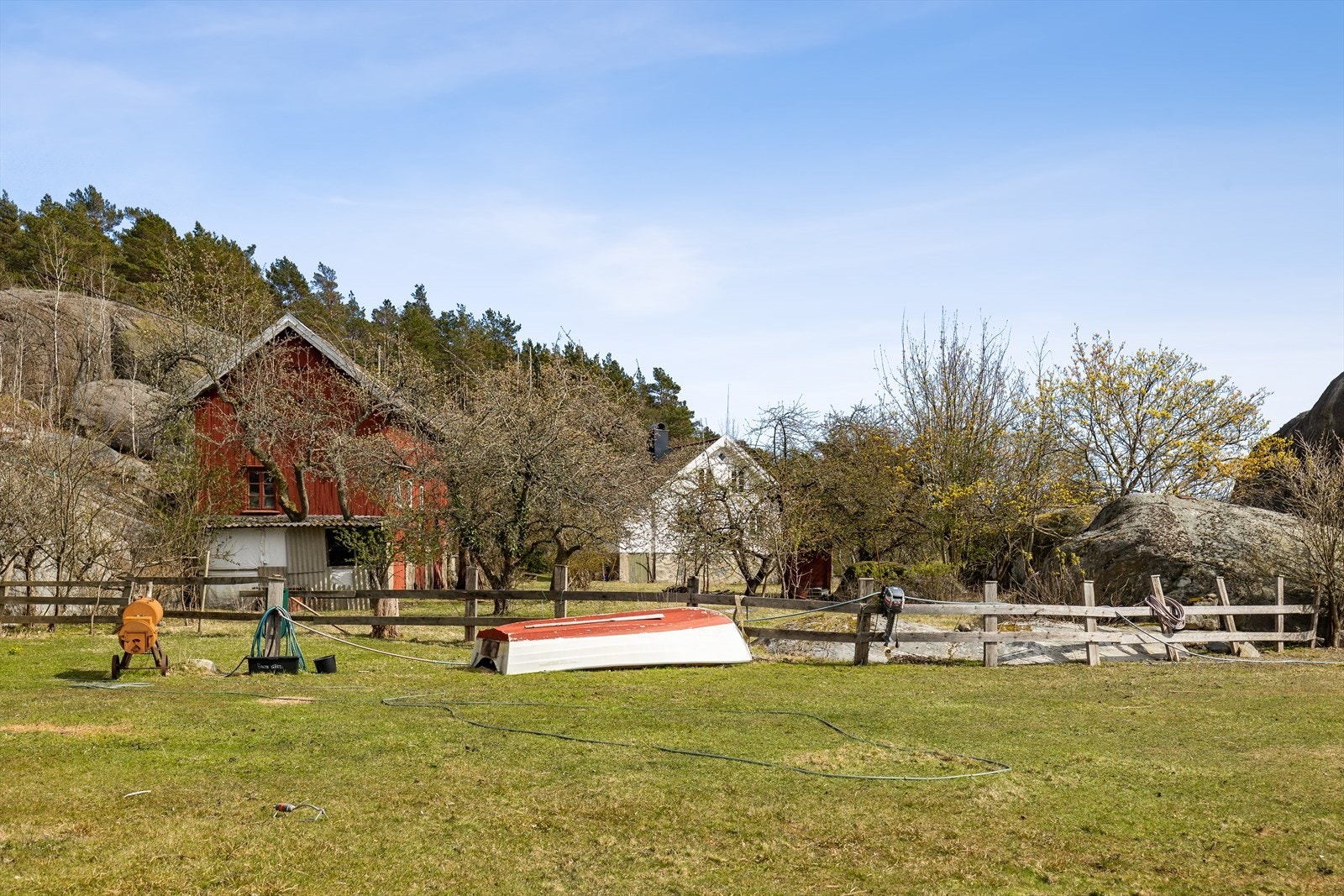 Hagen med gamle frukttrær Galleribilde