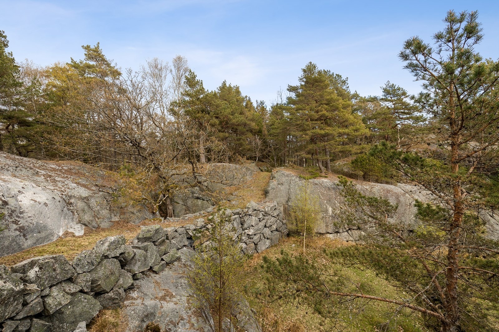 Flott gammel driftsvei og steinbro Galleribilde