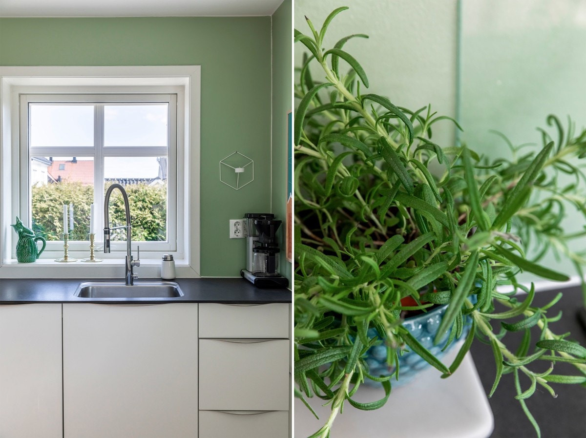 I serien grønne planter serverer vi her del 2. Galleribilde