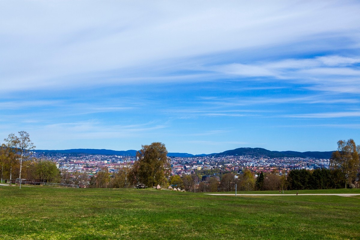 Ekeberg Galleribilde