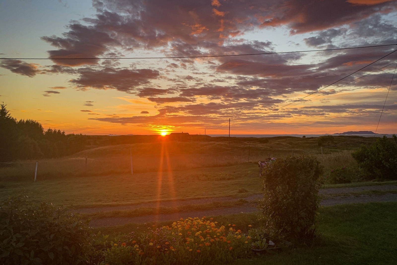 De neste bildene er øyeblikk fanget til kamera av selgerne selv. Galleribilde