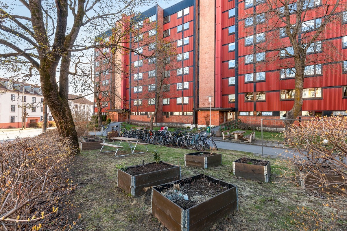 Veldrevet borettslag med 344 leiligheter. Galleribilde