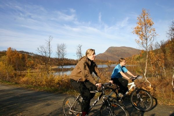På sykkeltur i marka Galleribilde