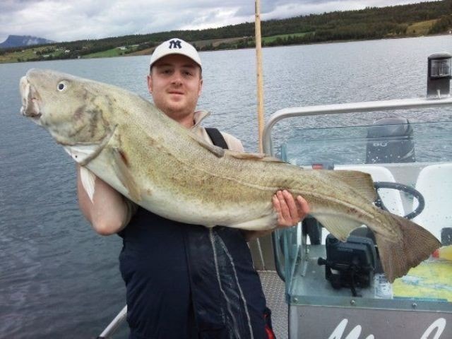 Fiskelykke Galleribilde