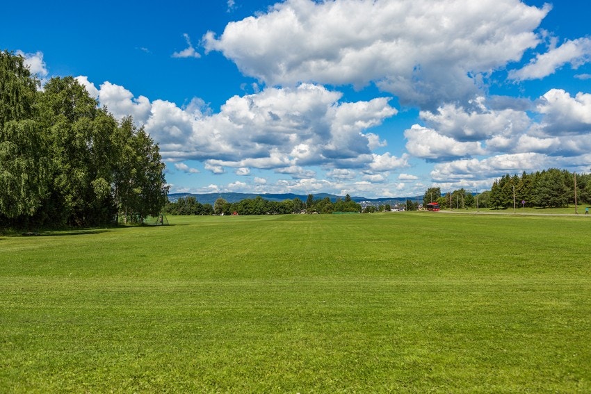 Ekebergsletta. Galleribilde