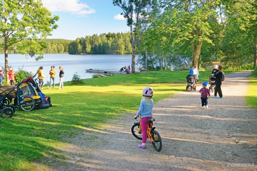 Østmarka. Galleribilde