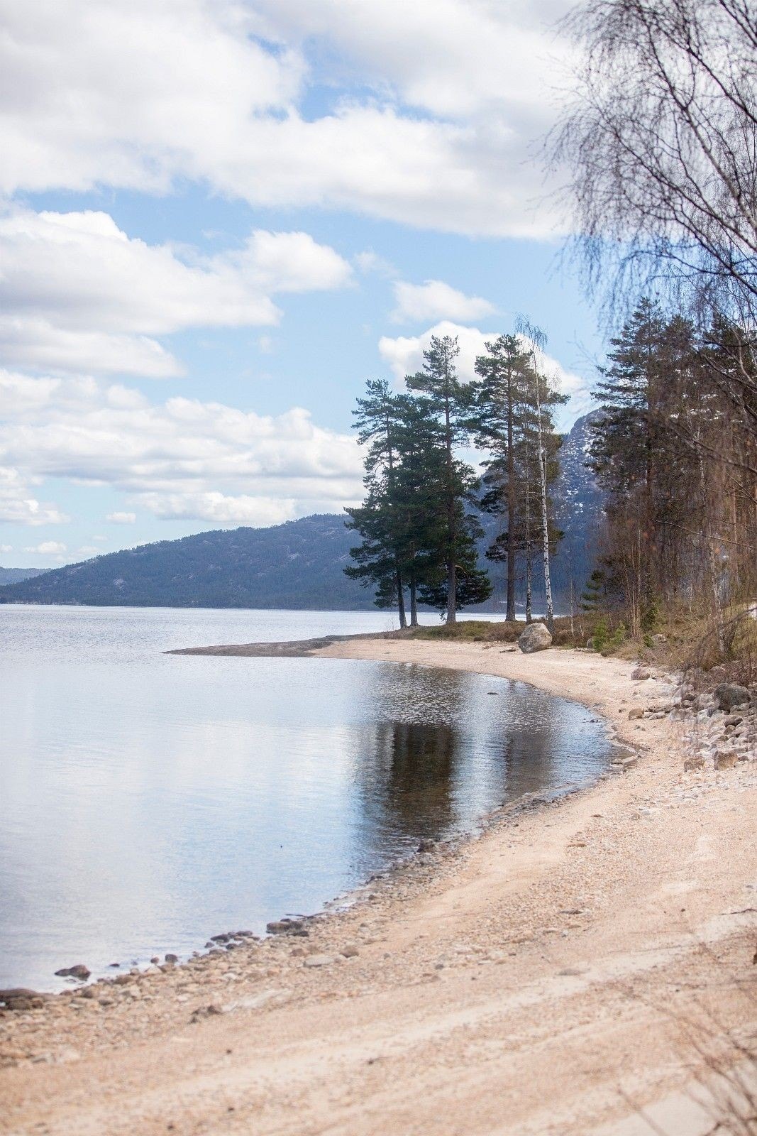 Nærområdet Galleribilde