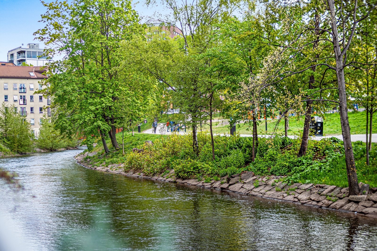 Nærområdet Galleribilde