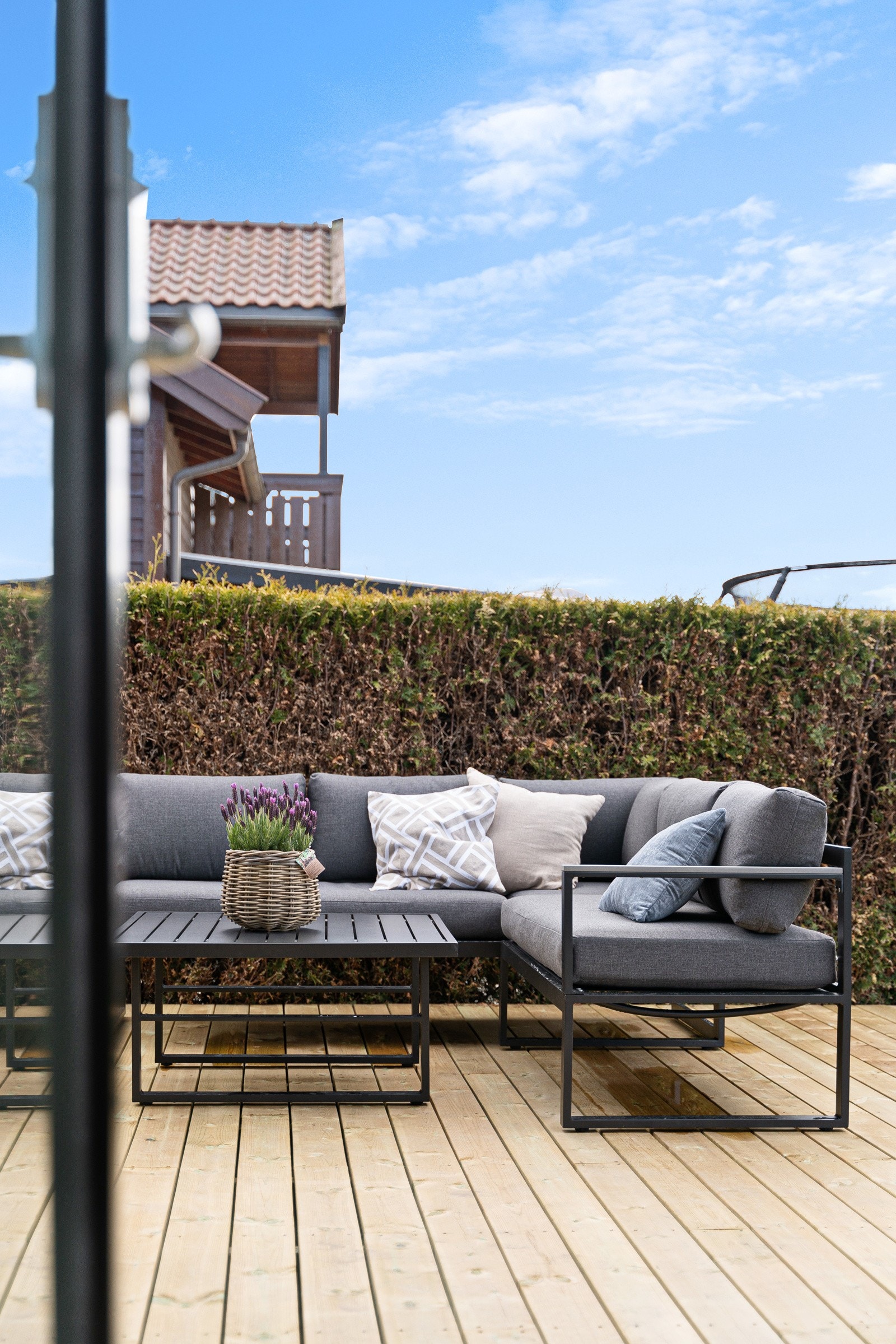 Terrasse. Galleribilde