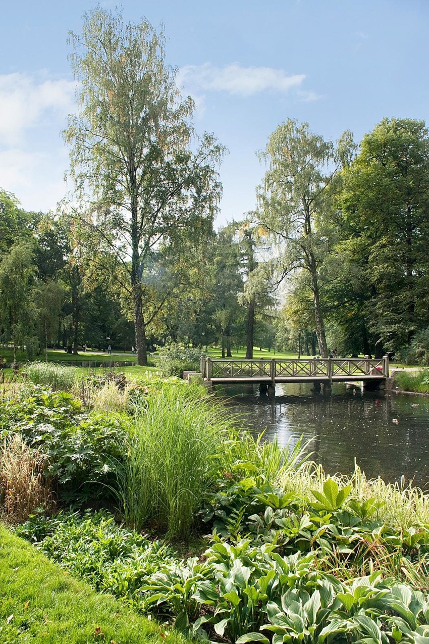 Ditt nye nærområde kan by på det meste. Galleribilde