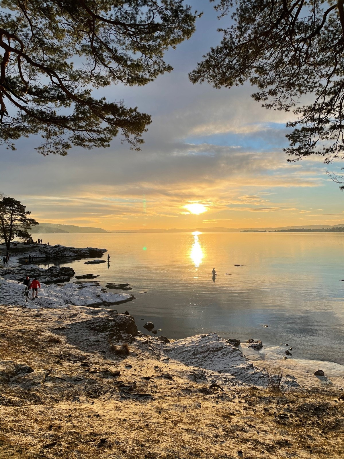 Flotte muligheter for sjøliv på Bygdøy. Kun en sykkeltur unna leiligheten Galleribilde