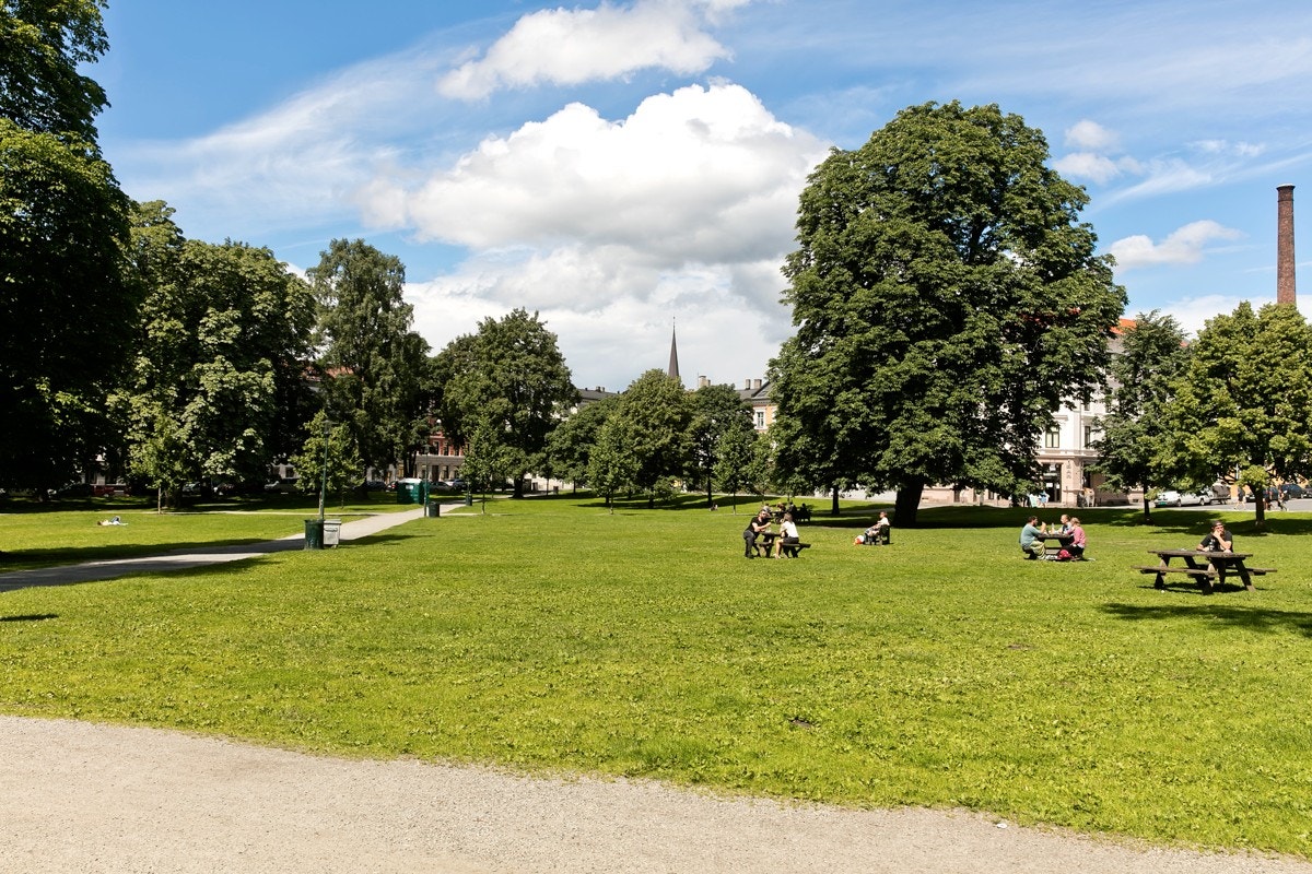 Kort vei til flere fine parker. Galleribilde