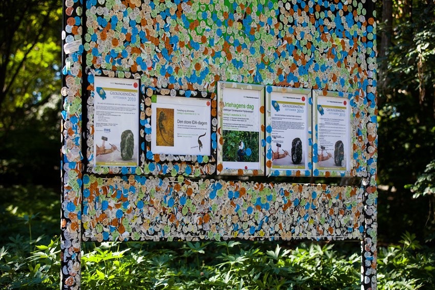 Botanisk Hage tilbyr fine turområder. Galleribilde