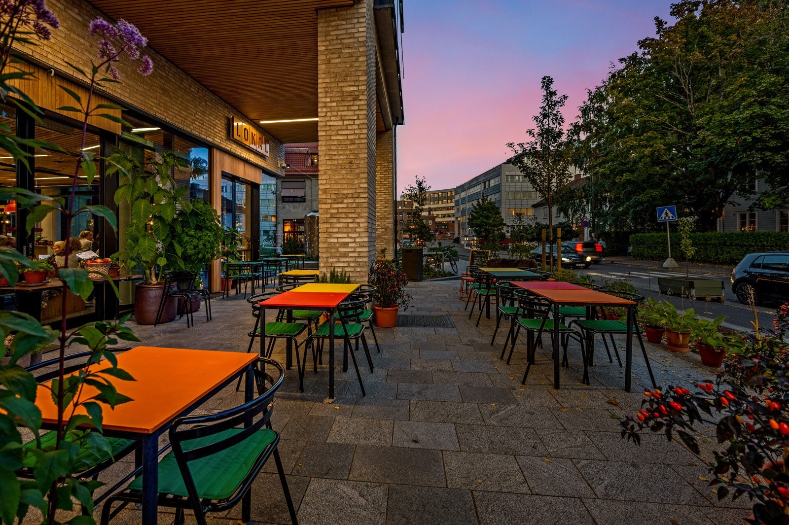 På det nye Harbitz Torg finner du bla. Coop Mega, apotek, Harbitz Torg Bad, samt Lokal som er en café, bar og delikatessebutikk med kortreiste, økologiske varer. Galleribilde