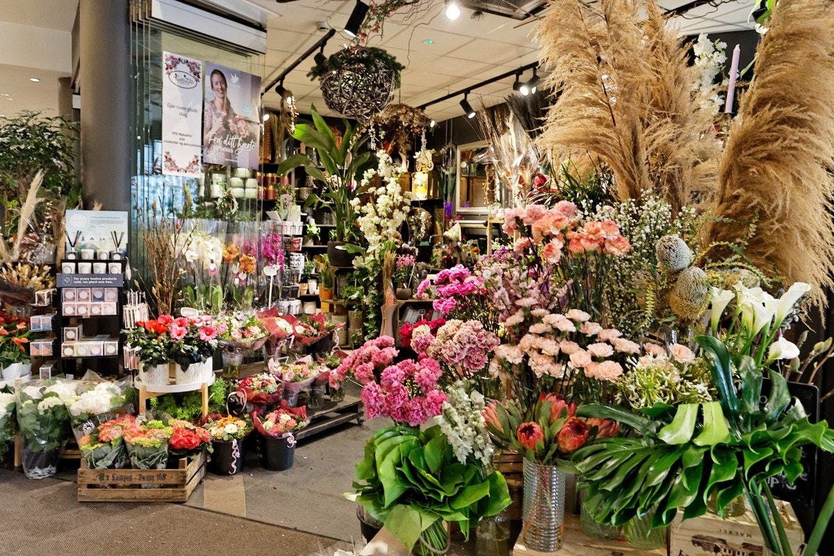 Nærområde Galleribilde