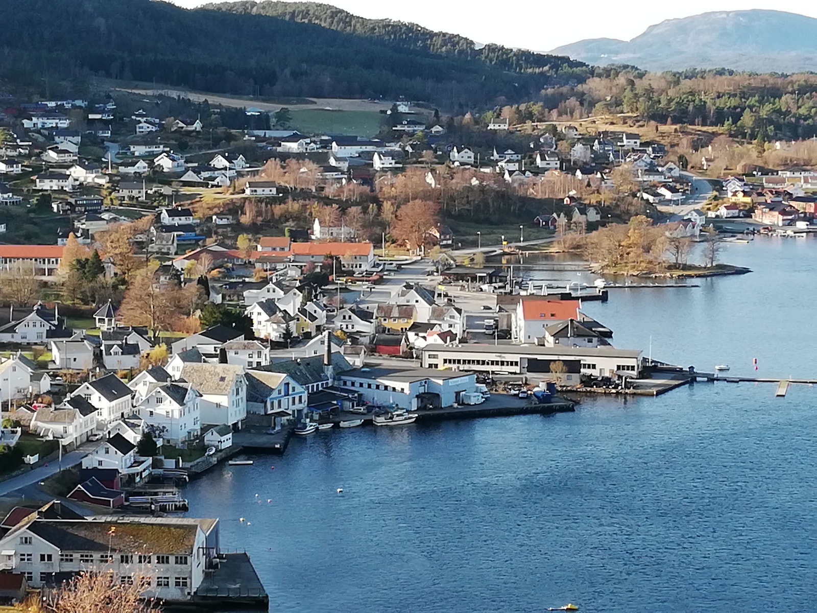 Skånevik. Utsikt Galleribilde