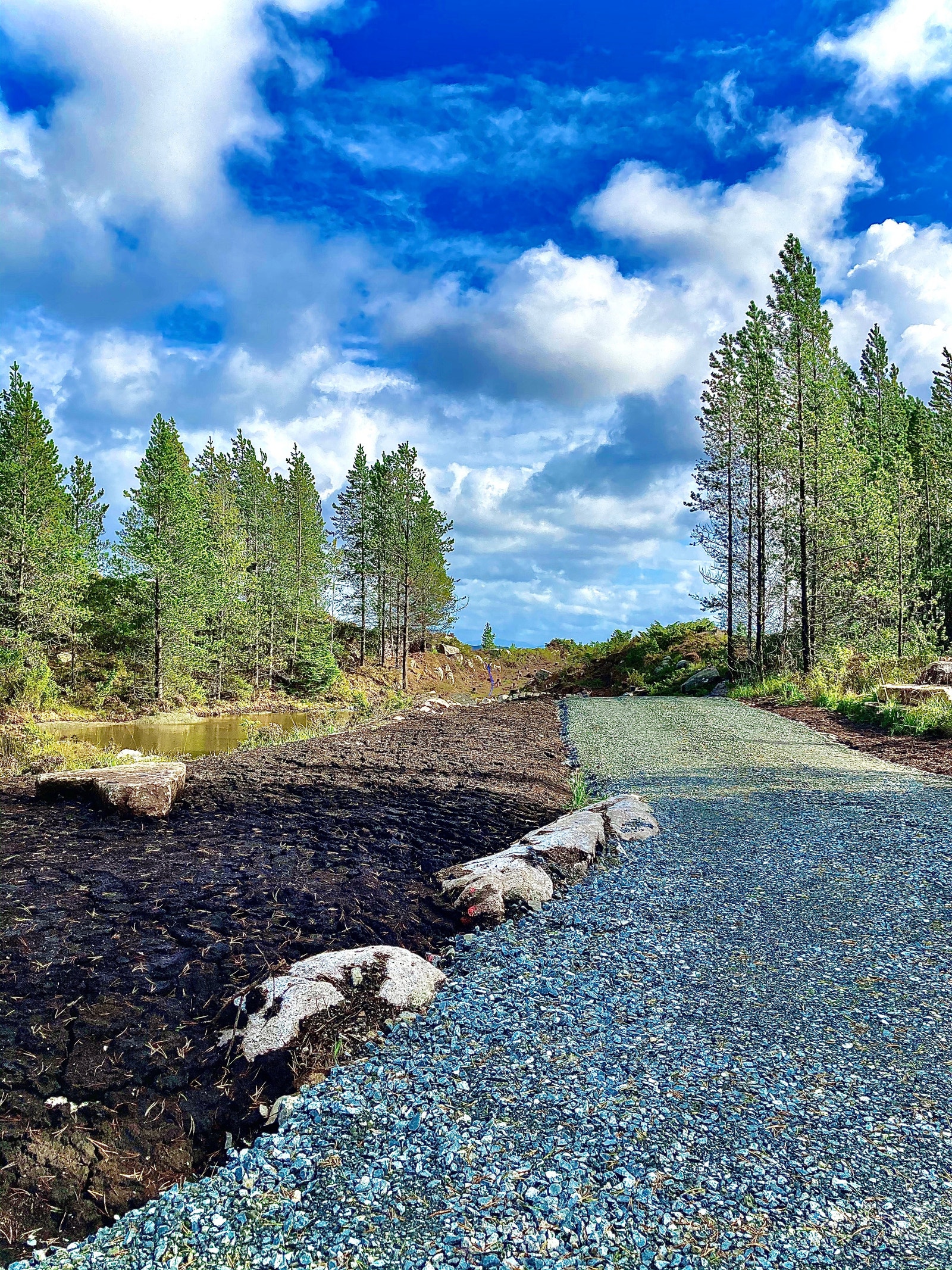 Vegen inn i hyttefeltet Galleribilde