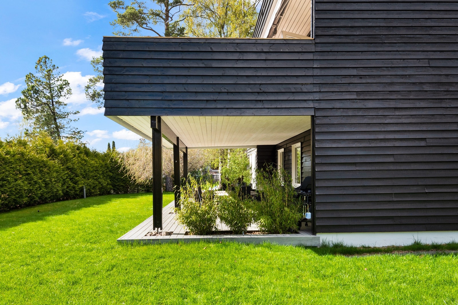 På terrassen er Japansk bambus plantet i innfelte soner. Galleribilde