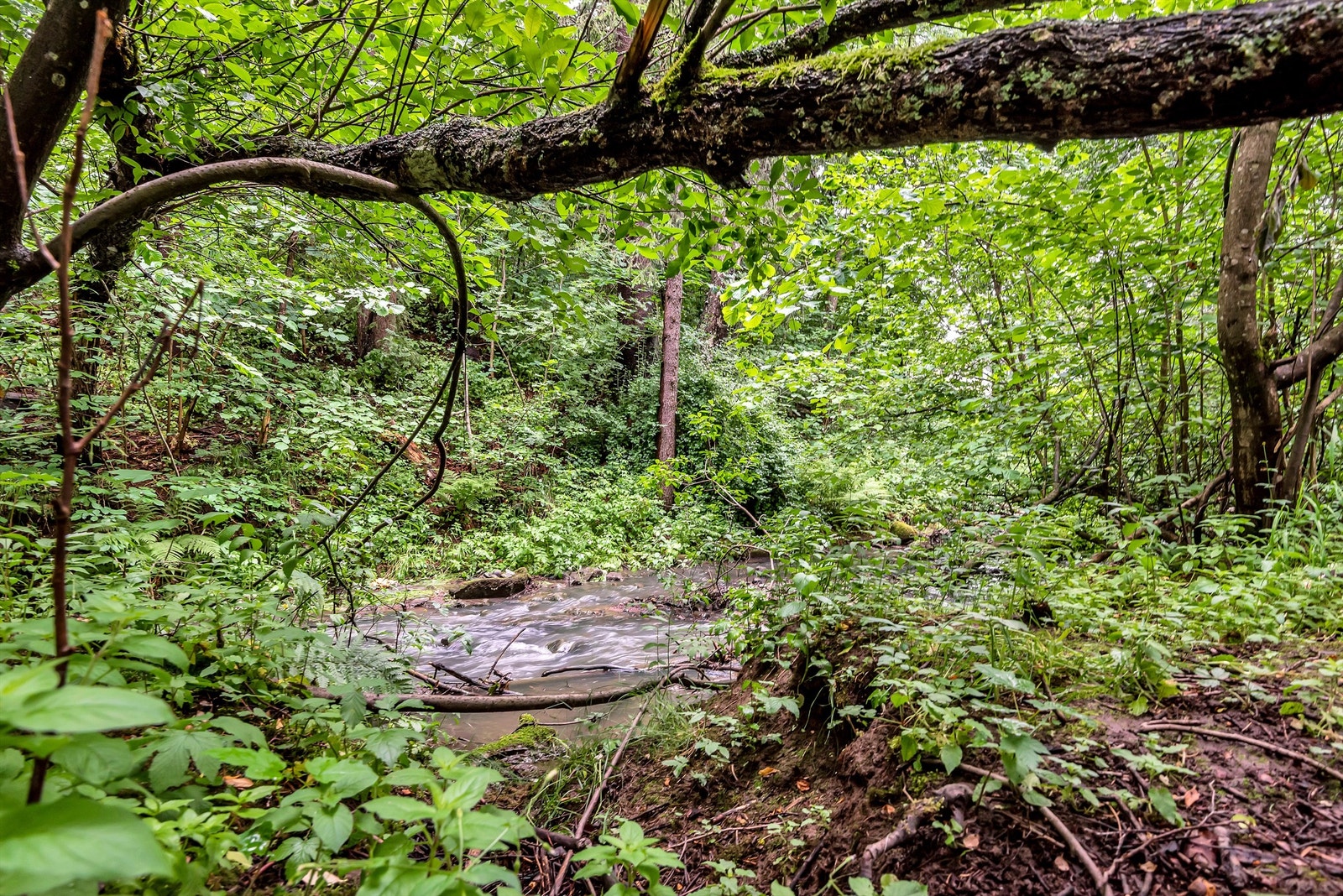 Noe av det beste med dette boområdet er de flotte turmuligheten område byr på, sommer som vinter. Galleribilde