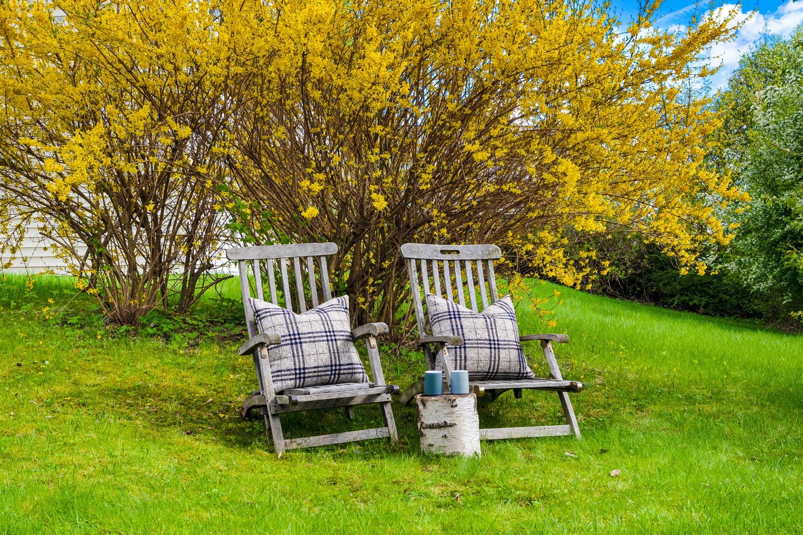 Hygge i hagen Galleribilde