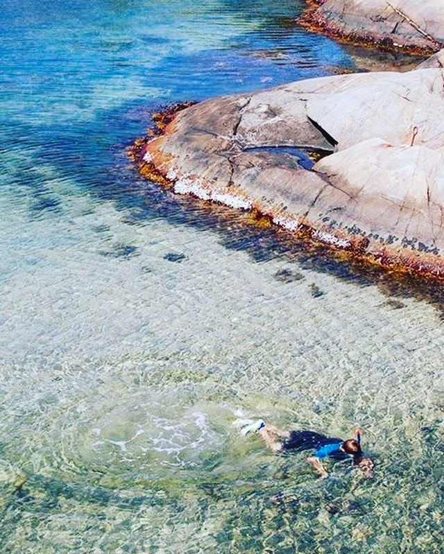 Grunnesund i Risør skjærgården. Galleribilde