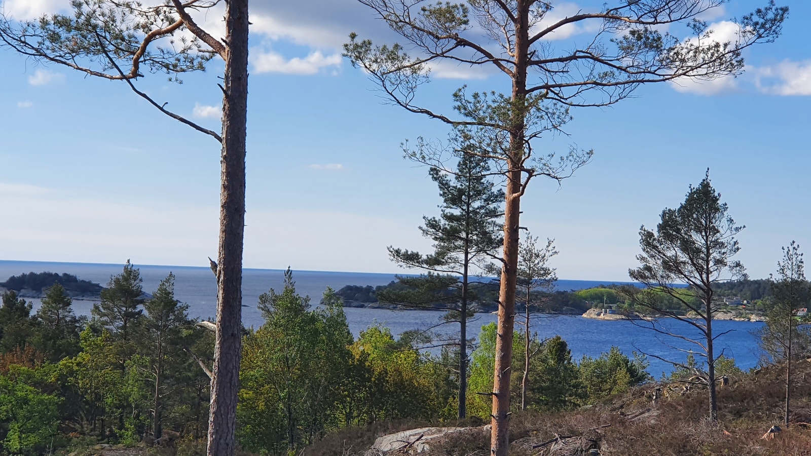 Bildet tatt på tomt Galleribilde