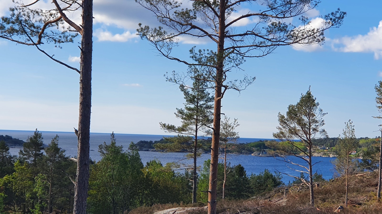 Bilde tatt på tomt. Galleribilde