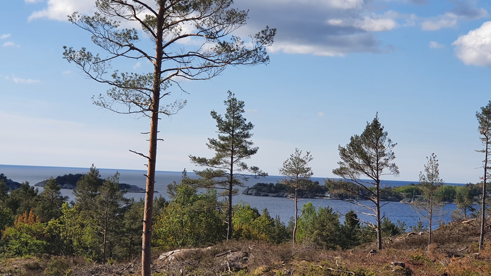 Bilde tatt på tomt. Galleribilde