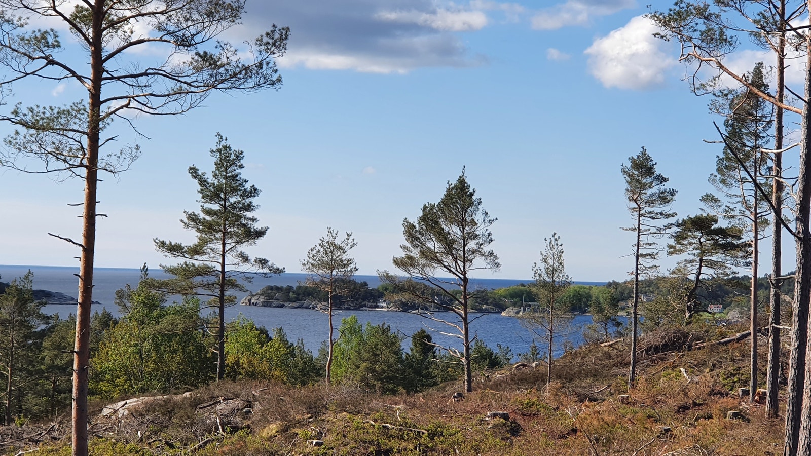 bilde tatt på tomt. Galleribilde