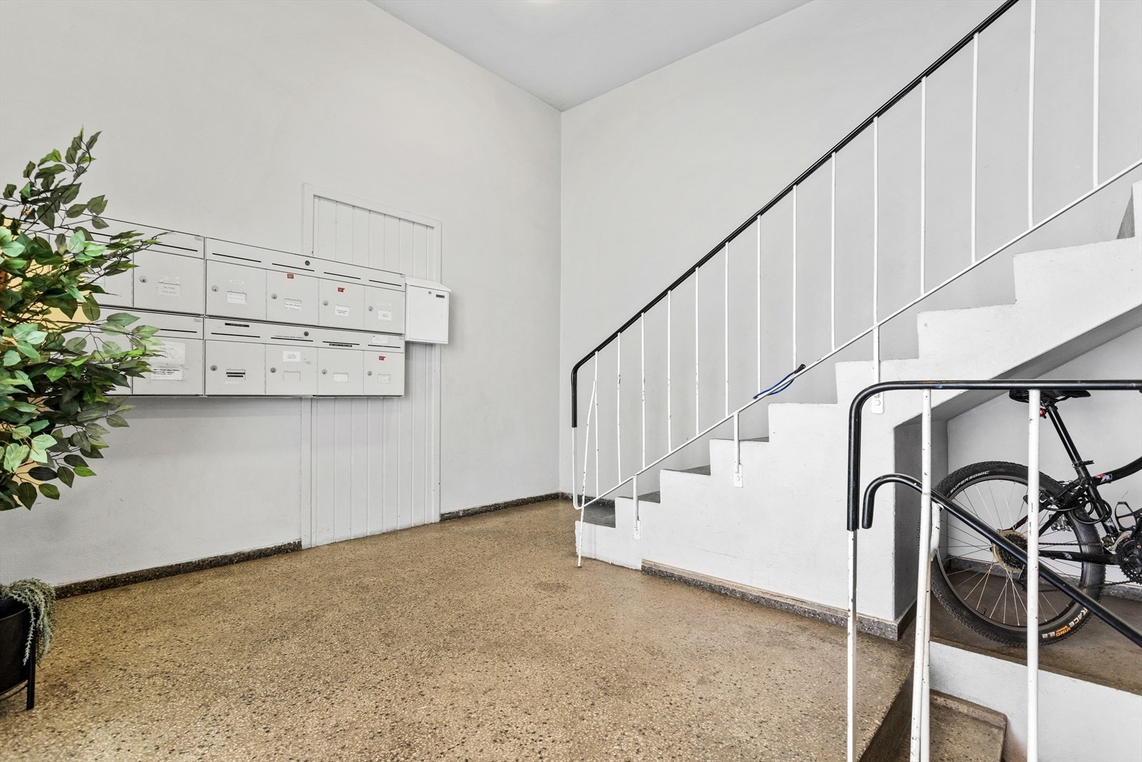 Oppgang Galleribilde