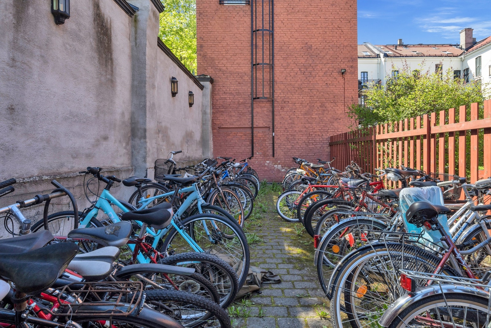 Felles sykkelparkering. Galleribilde