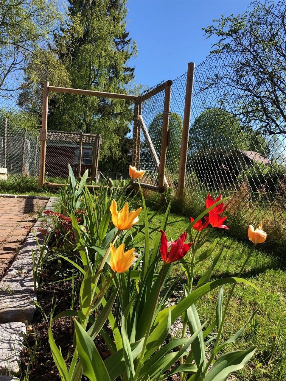 Selgers bilder Galleribilde