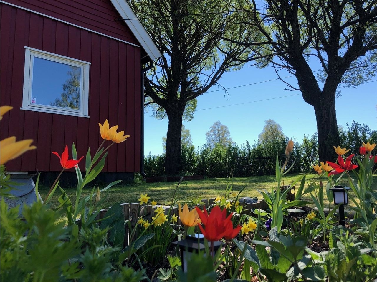 Selgers bilder Galleribilde