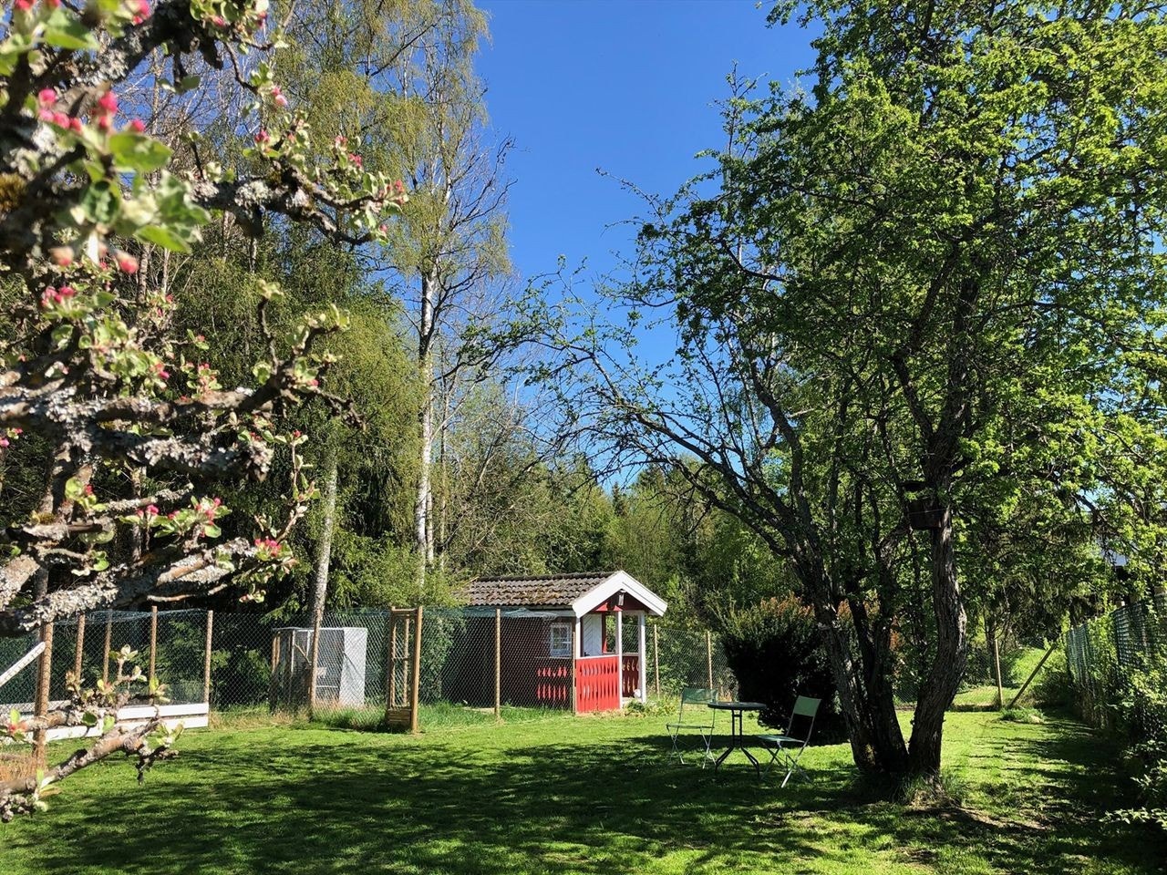 Rykende ferske bilder fra selger! Galleribilde