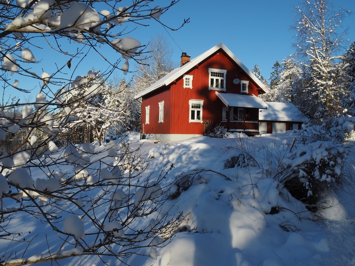 Selgers egne bilder Galleribilde