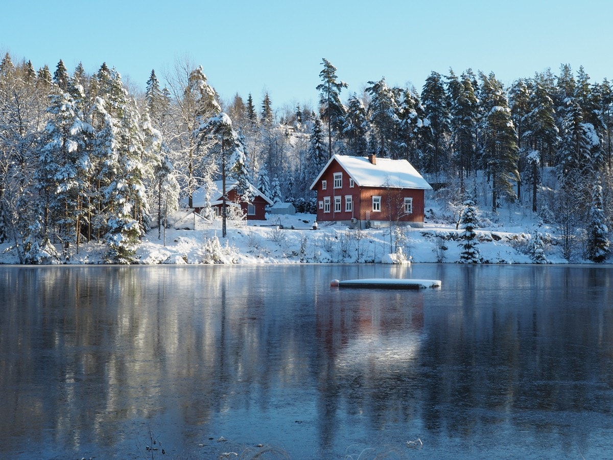 Selgers egne bilder Galleribilde