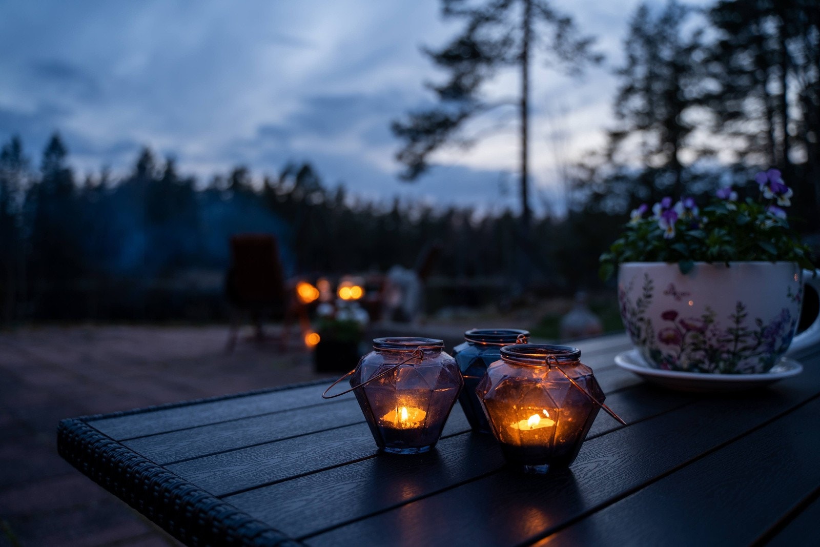 Selgers egne bilder Galleribilde