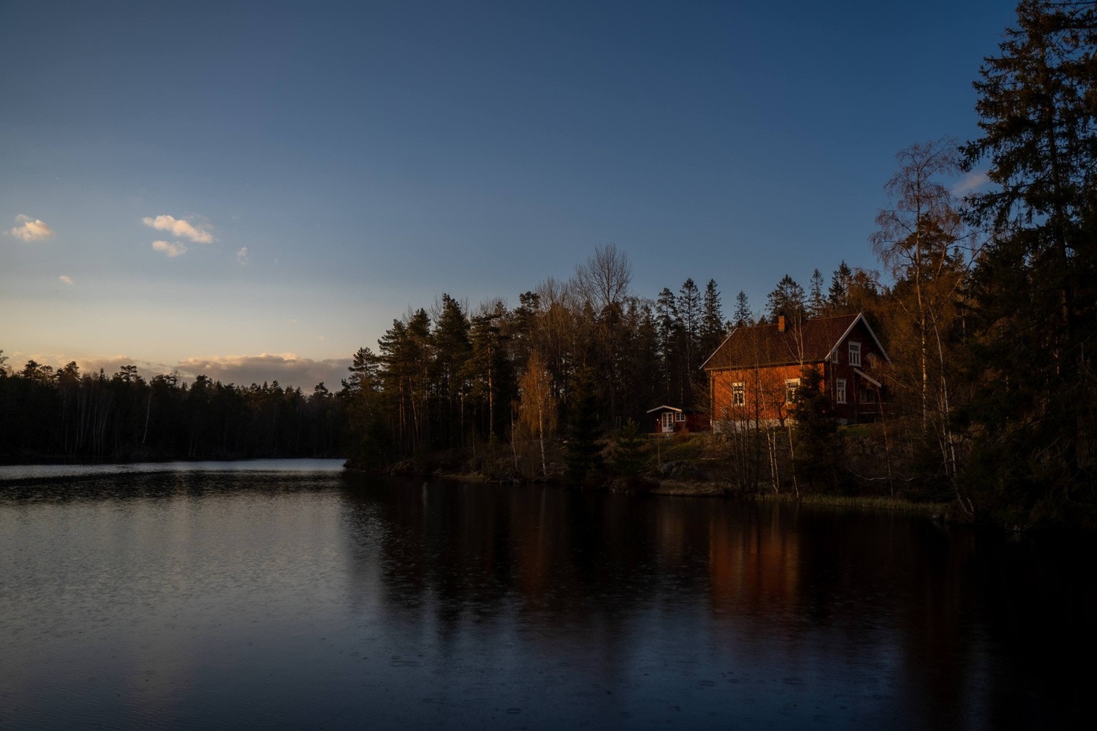 Selgers egne bilder Galleribilde