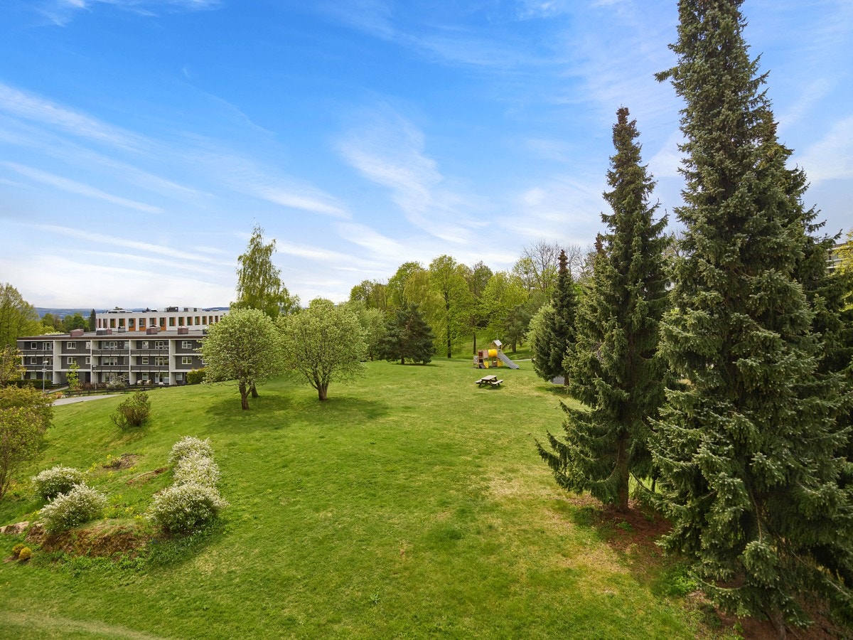 De store grøntområdene omkranser bygningene Galleribilde