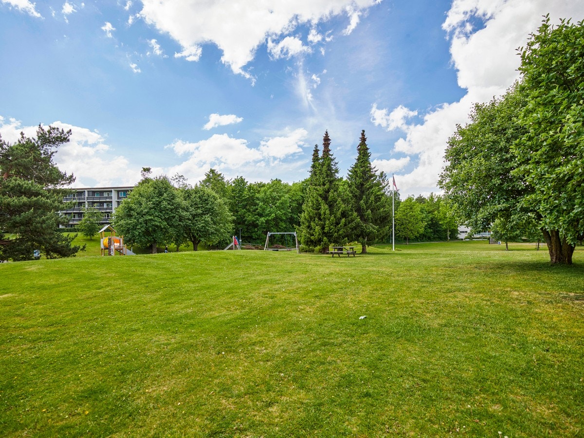 Sameiet har en helt unik park mellom husene på ca 44 mål Galleribilde