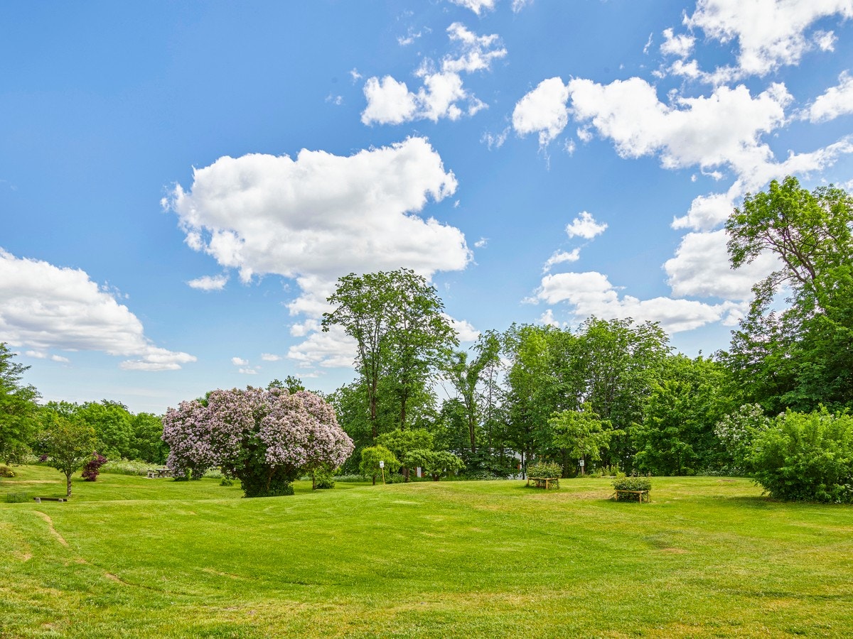 Her bor man grønt og landlig, samtidig som det er meget sentralt Galleribilde